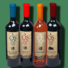 攻击网站的方法